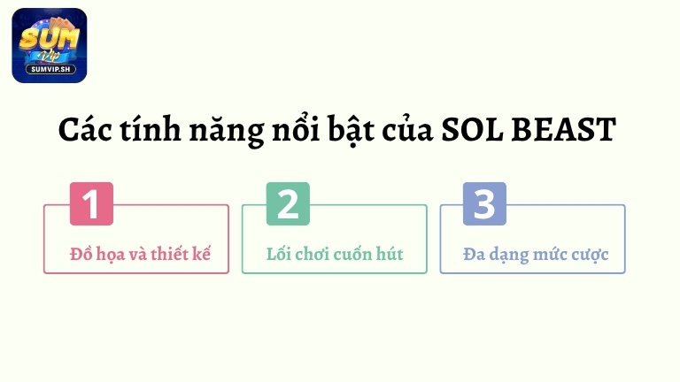 Các tính năng nổi bật của SOL BEAST