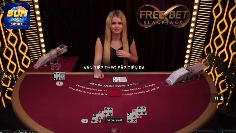 Một số thuật ngữ thường thấy khi chơi Blackjack